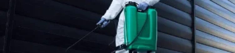 wepik-export-20230907122328xmX8 wepik-export-20230907122328xmX8